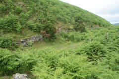 
Hills Tramroad to Llanfoist, incline top, June 2009